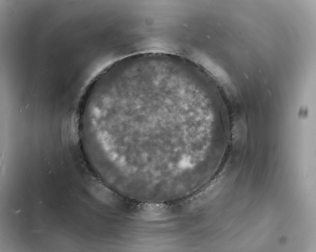 X0000103291310200809191820