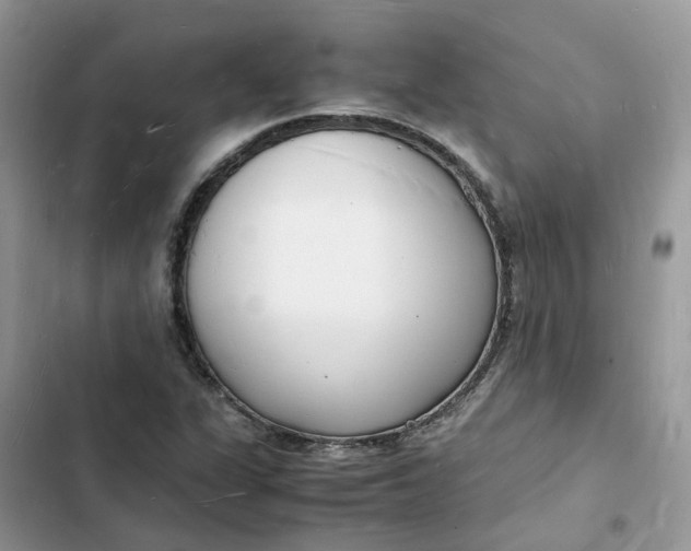 X0000103291311200809191820