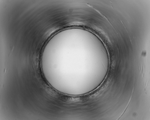 X0000103291313200809191820