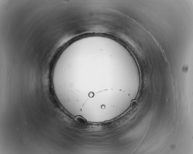 X0000103291315200809191820