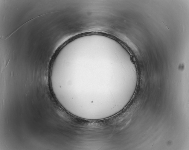 X0000103291316200809191820