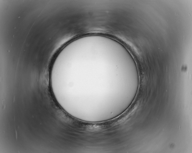 X0000103291317200809191820