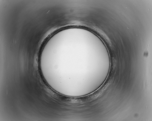 X0000103291318200809191820