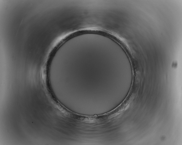 X0000103291319200809191820