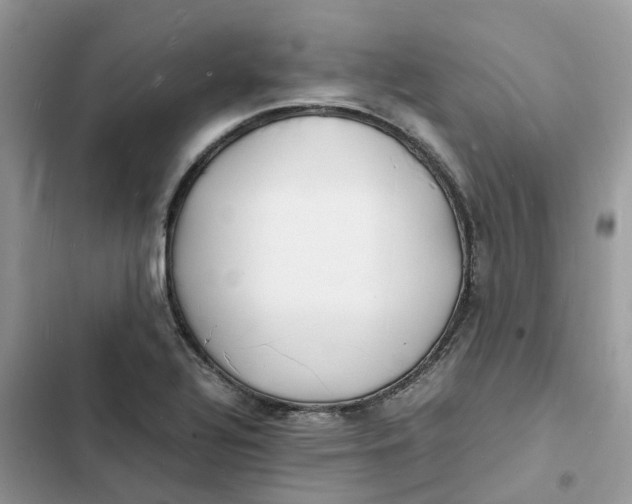 X0000103291320200809191820