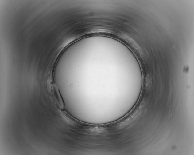 X0000103291321200809191820