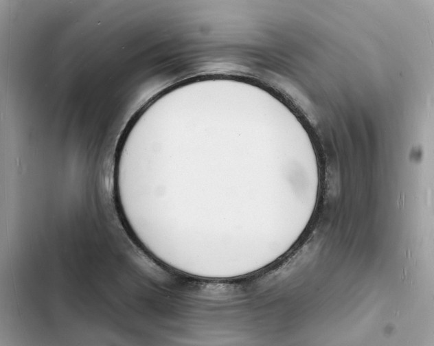 X0000103291322200809191820