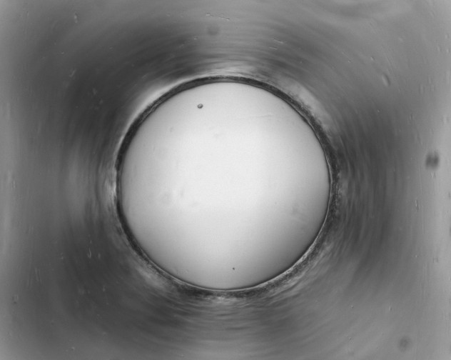 X0000103291324200809191820