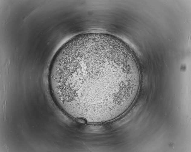 X0000103291325200809191820