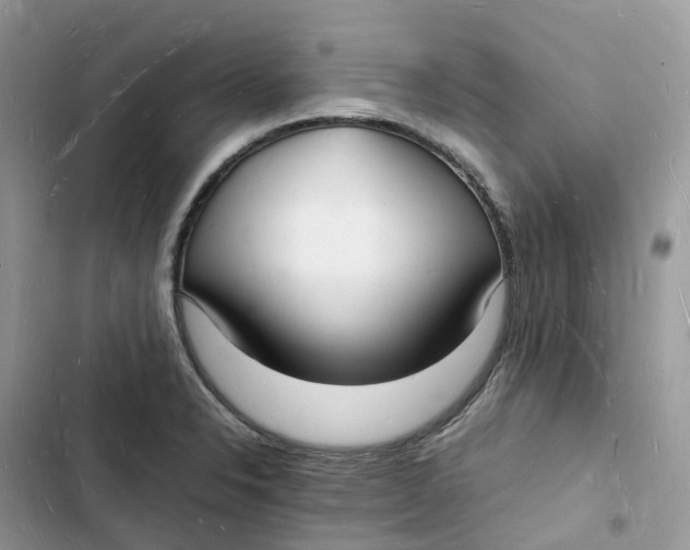 X0000103291326200809191820