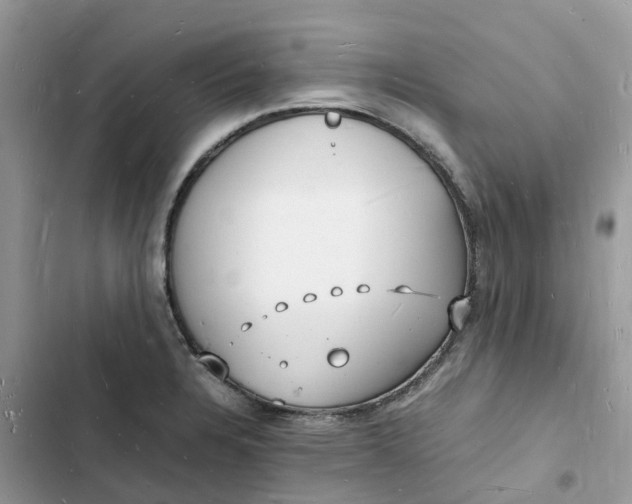 X0000103291328200809191820