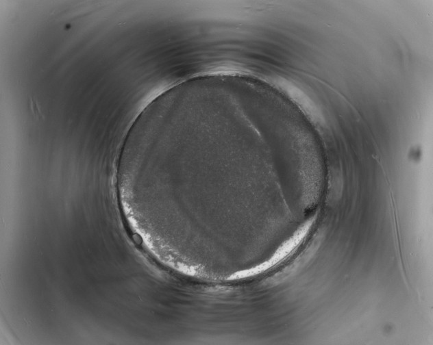 X0000103291329200809191820