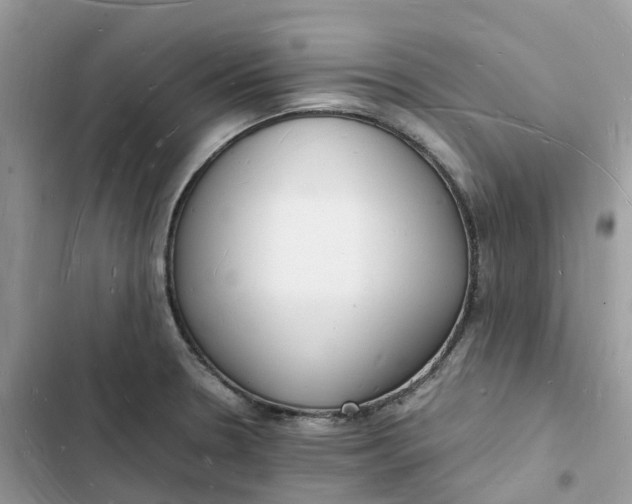 X0000103291330200809191820