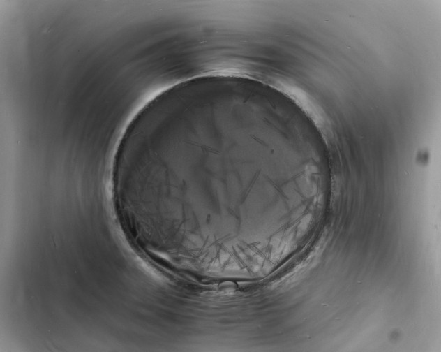 X0000103291331200809191820