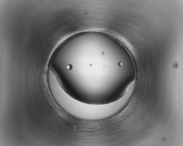 X0000103291332200809191820