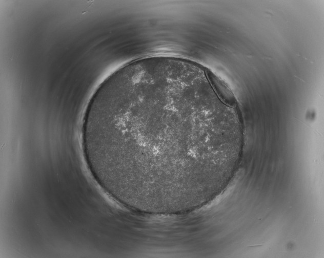 X0000103291333200809191820