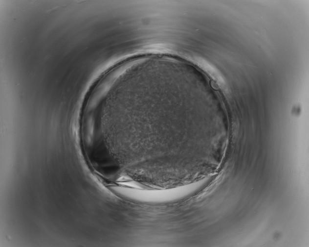 X0000103291334200809191820