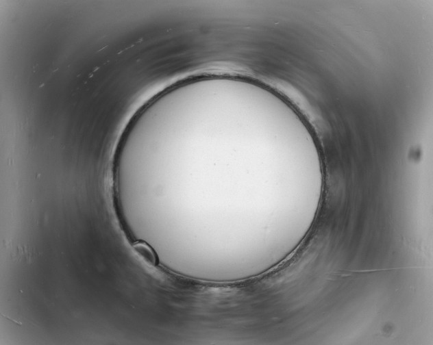 X0000103291335200809191820