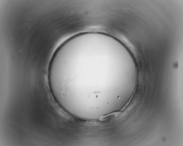 X0000103291336200809191820