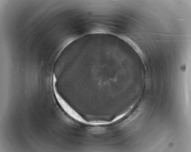 X0000103291337200809191820