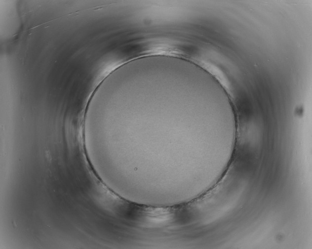 X0000103291338200809191820