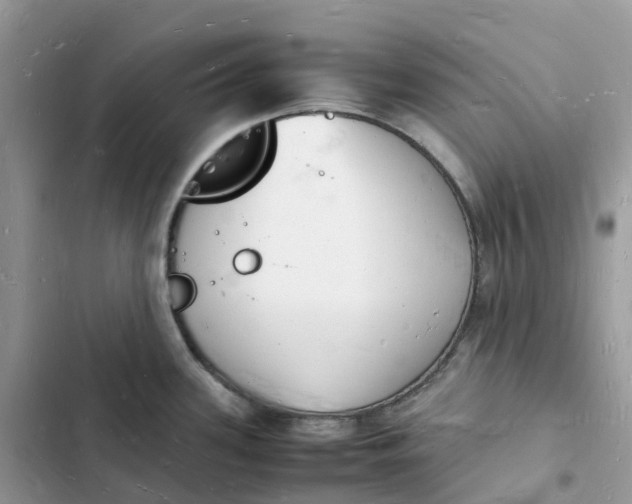 X0000103291339200809191820