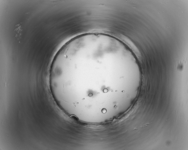 X0000103291340200809191820