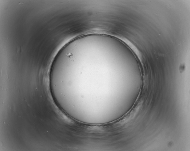 X0000103291341200809191820