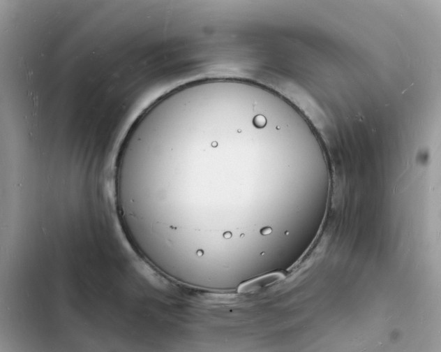 X0000103291342200809191820