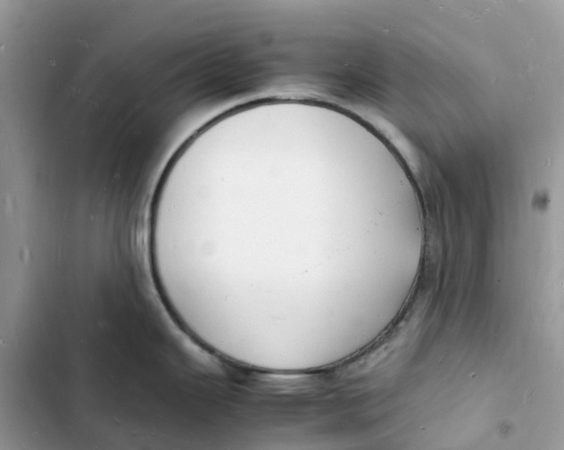 X0000103291343200809191820