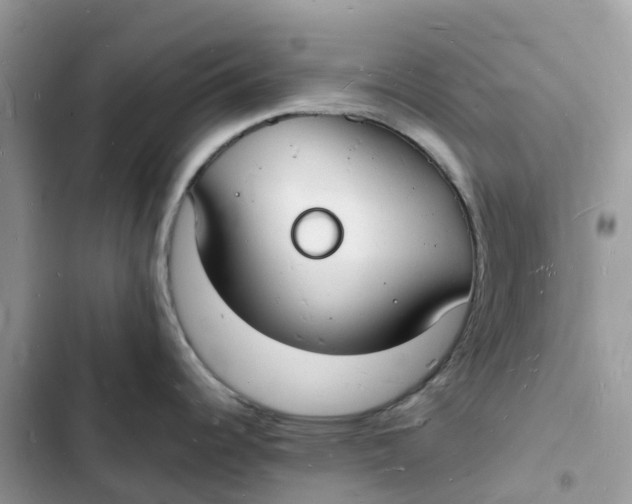 X0000103291344200809191820