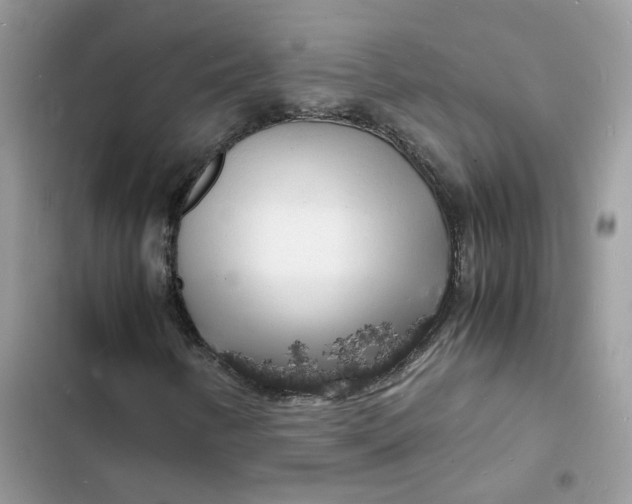 X0000103291346200809191820