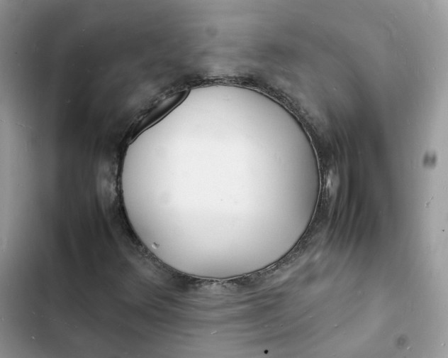 X0000103291348200809191820