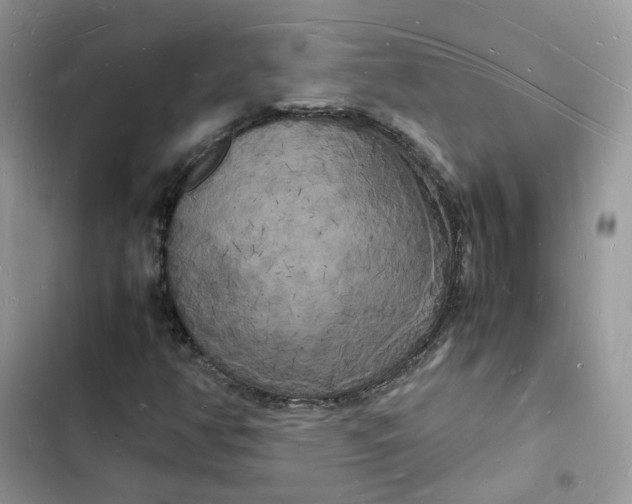 X0000103291350200809191820