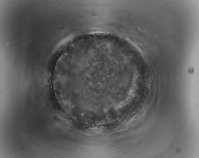 X0000103291351200809191820