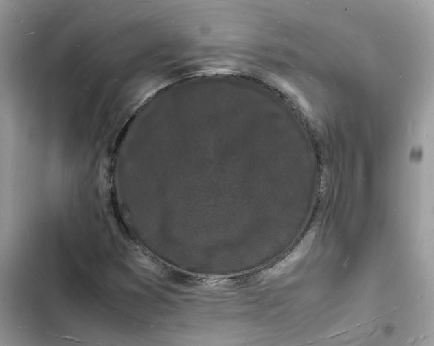 X0000103291353200809191820