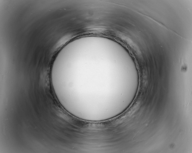 X0000103291354200809191820