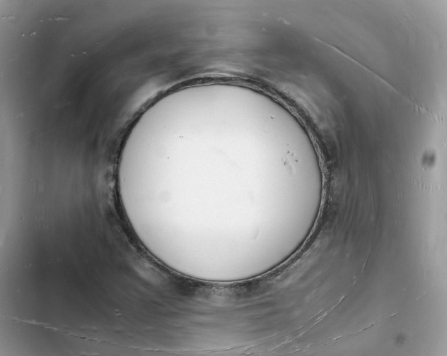 X0000103291355200809191820