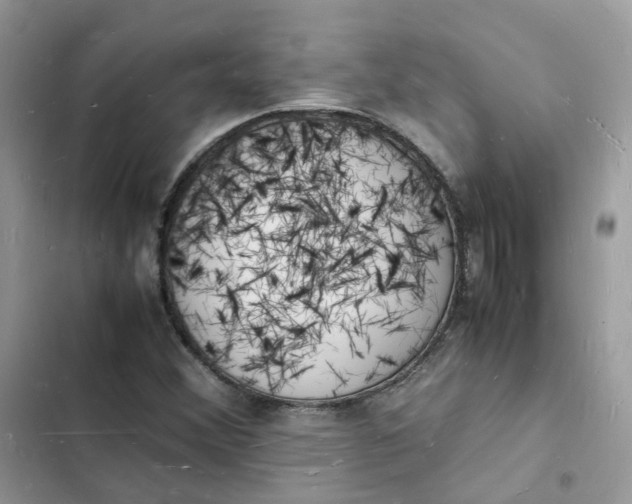 X0000103291356200809191820