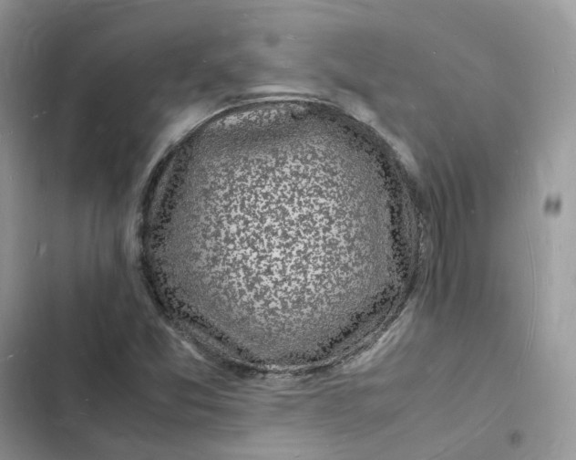 X0000103291357200809191820