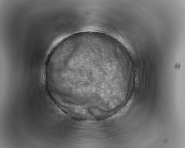 X0000103291358200809191820