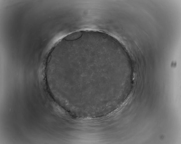 X0000103291359200809191820