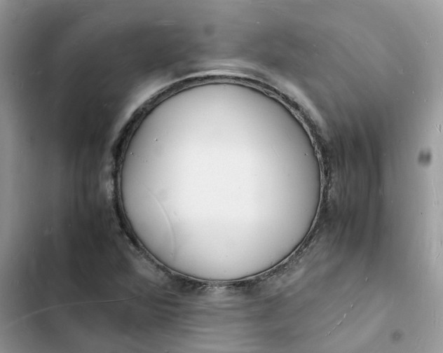 X0000103291360200809191819