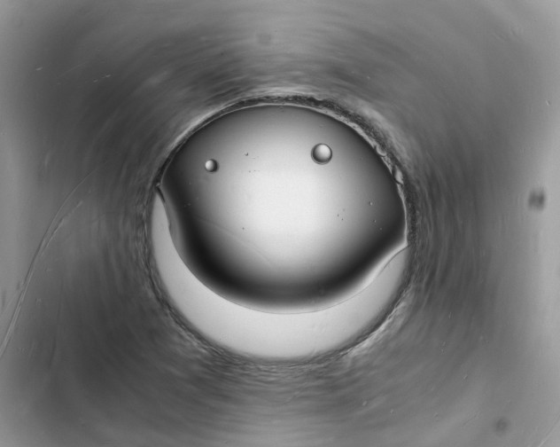 X0000103291361200809191819