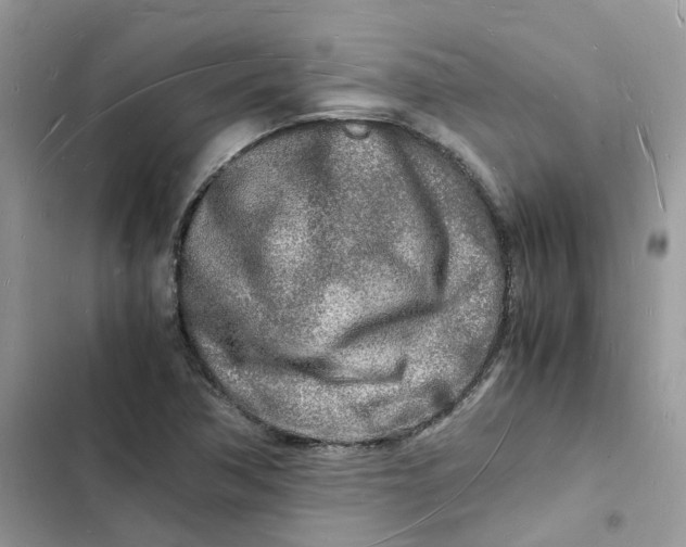 X0000103291362200809191819