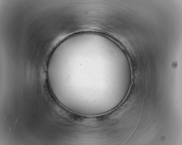 X0000103291363200809191819