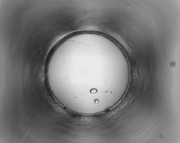 X0000103291364200809191819