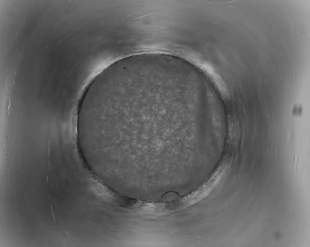 X0000103291365200809191819