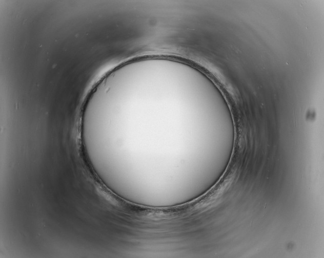 X0000103291366200809191819