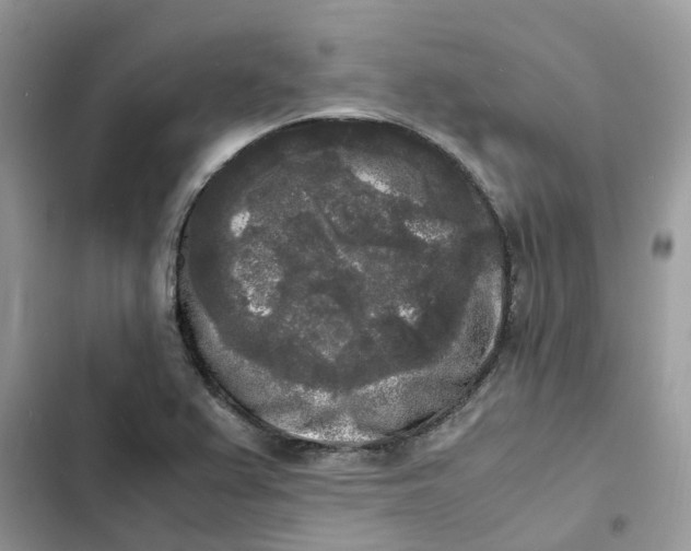 X0000103291367200809191819